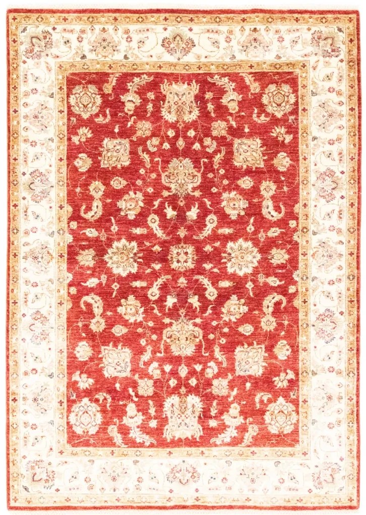 Ziegler Tappeto 150 x 220 (Afghanistan)