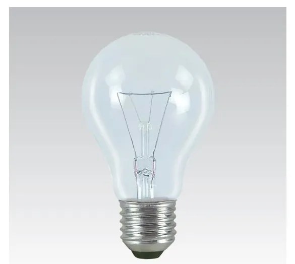 Lampadina speciale per uso intensivo E27/100W/24V