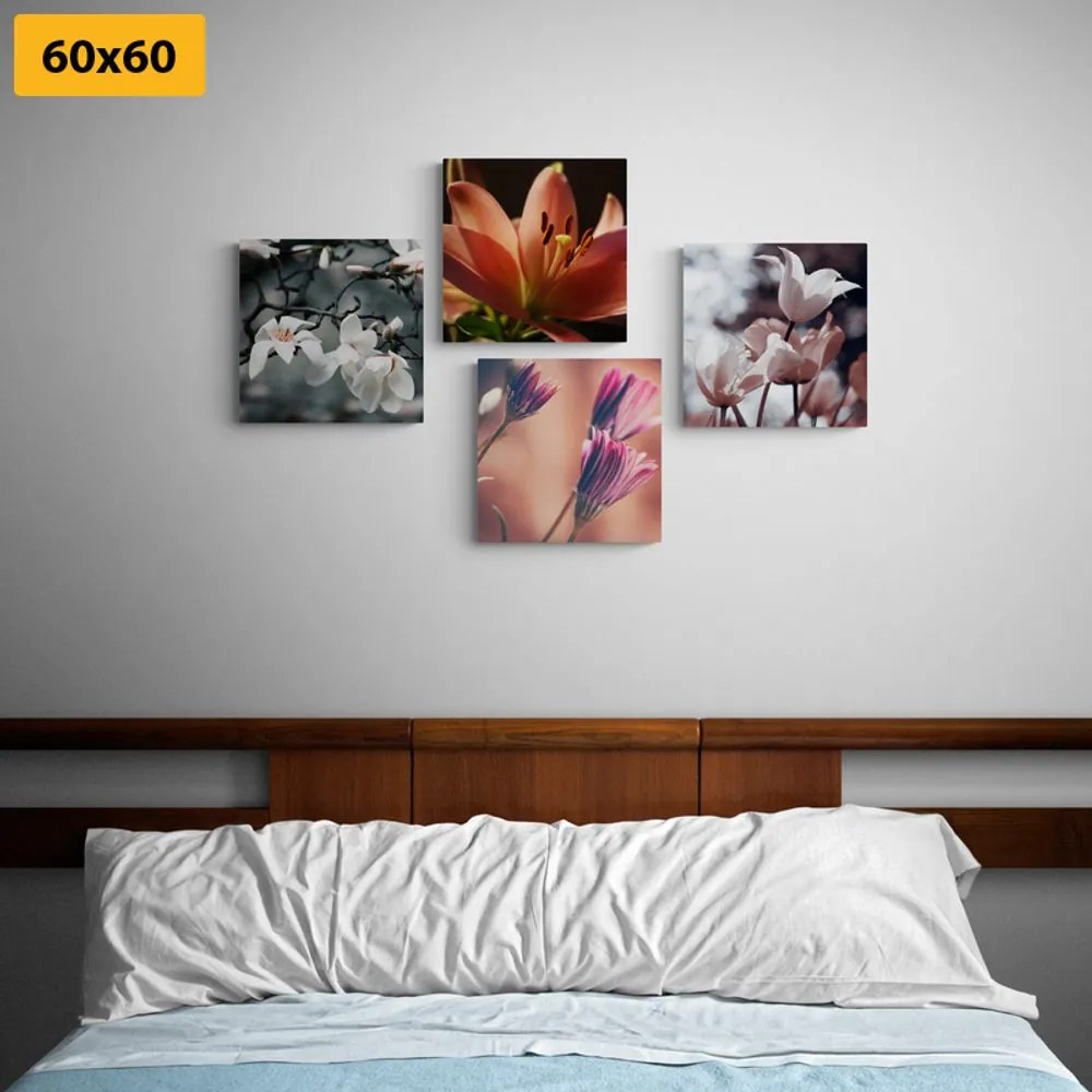 Set di quadri – Delicatezza dei fiori