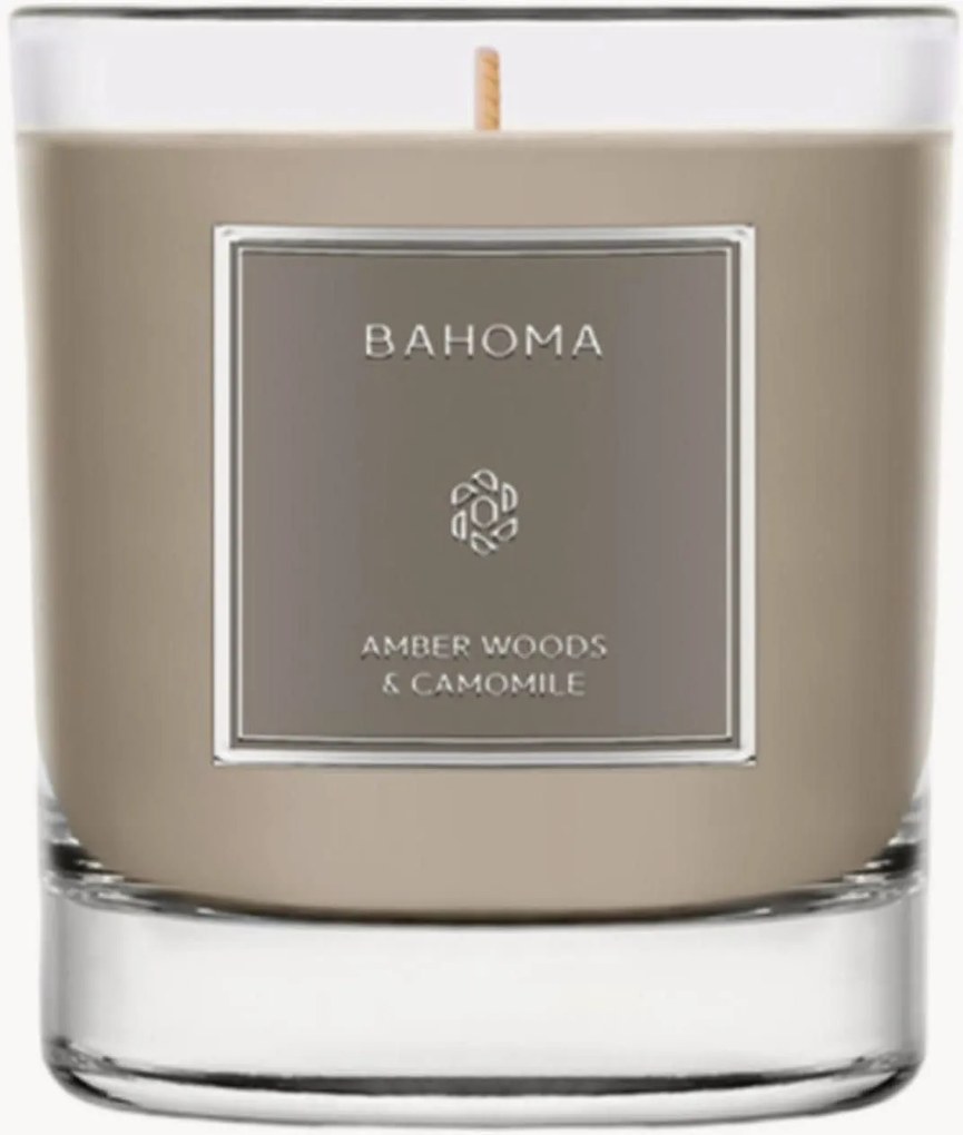 Candela profumata fatta a mano Amber Woods & Chamomile (erbe, camomilla, muschio)