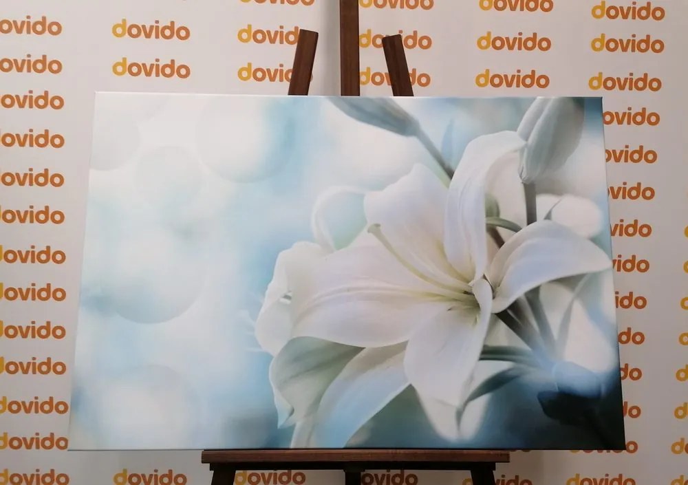 Quadro su tela – Fiore bianco di giglio su sfondo astratto