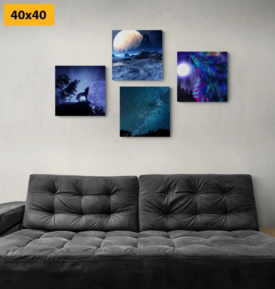 Set di quadri – Lupo misterioso
