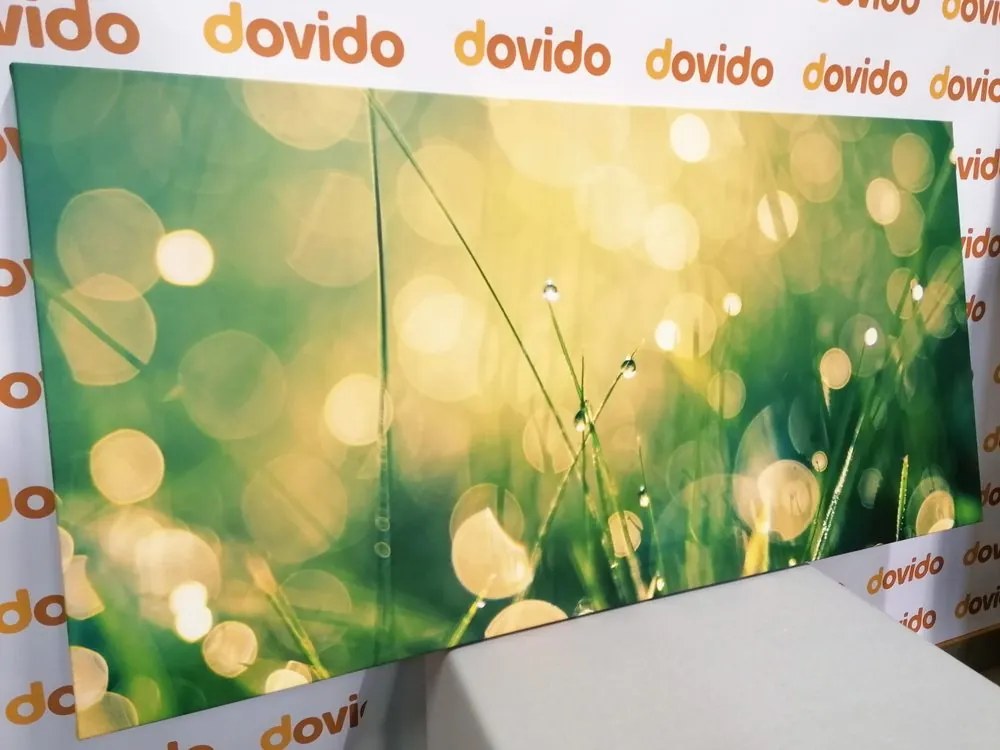 Quadro su tela – Rugiada mattutina