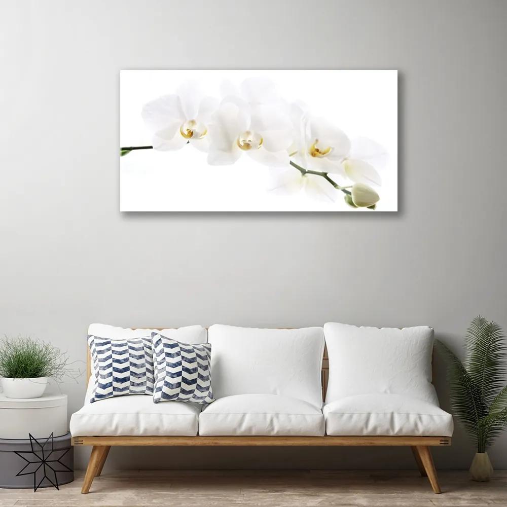 Quadro acrilico Fiori di orchidea 100x50 cm