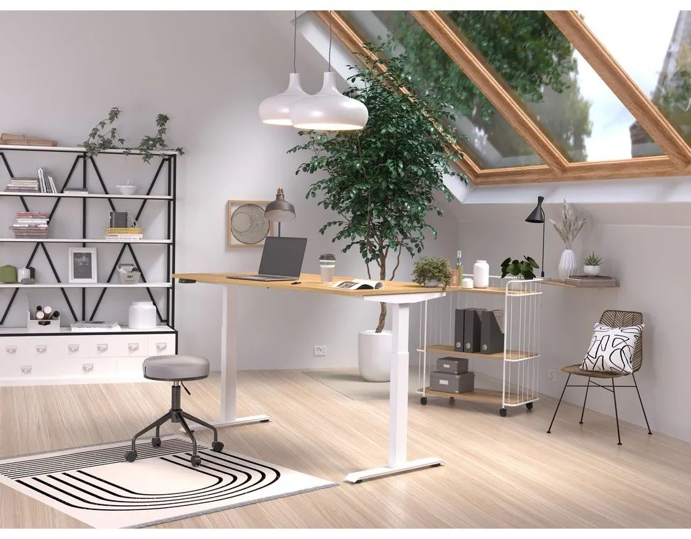Tavolo da lavoro ad altezza regolabile elettricamente con piano in rovere 80x160 cm Jet - Germania