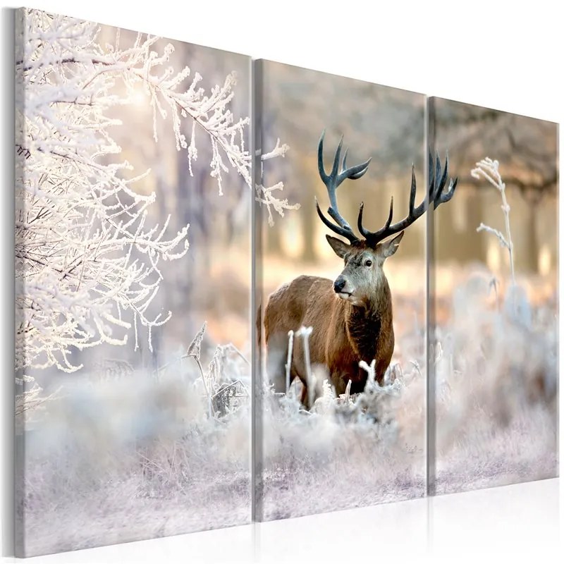 Quadro Deer in the Cold I  Colore Bianco, Dimensioni e Misure 120x80