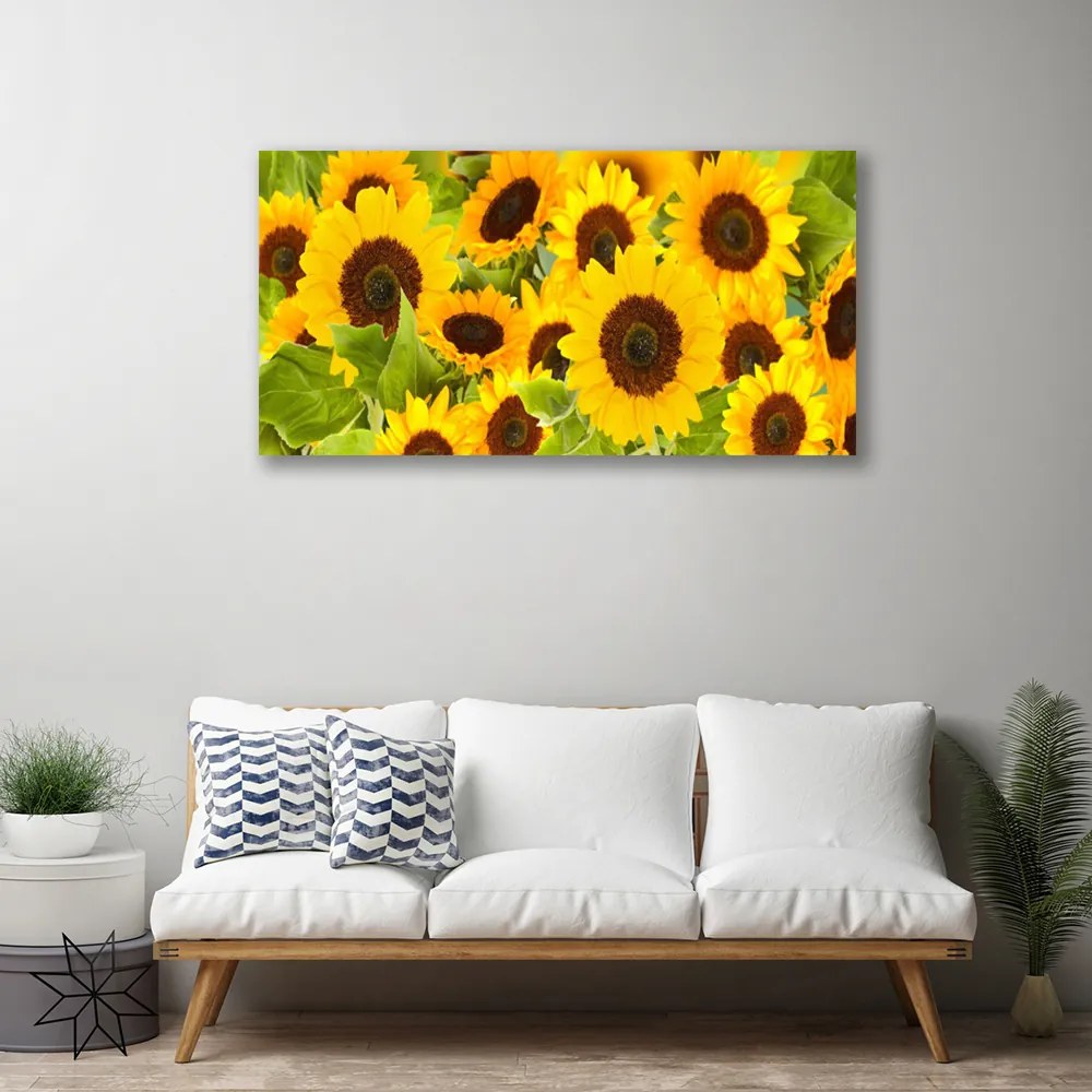 Quadro su tela Pianta i girasoli 100x50 cm