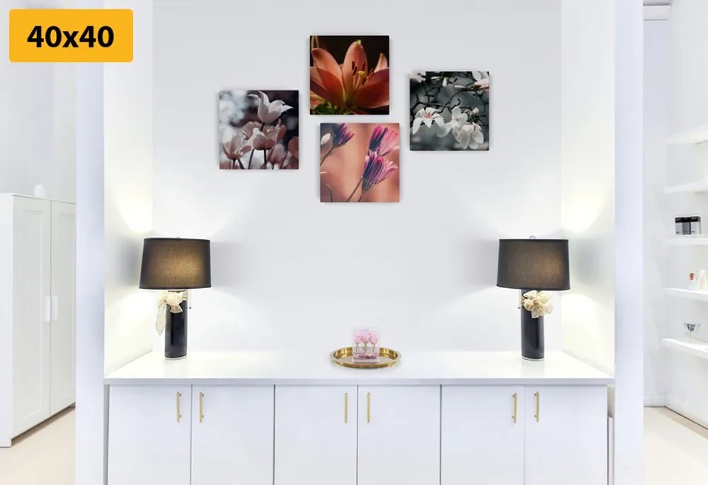 Set di quadri – Delicatezza dei fiori
