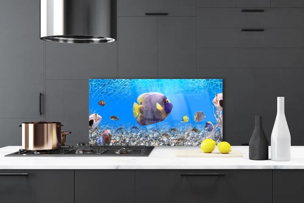 Pannello paraschizzi cucina Pesce della natura 100x50 cm