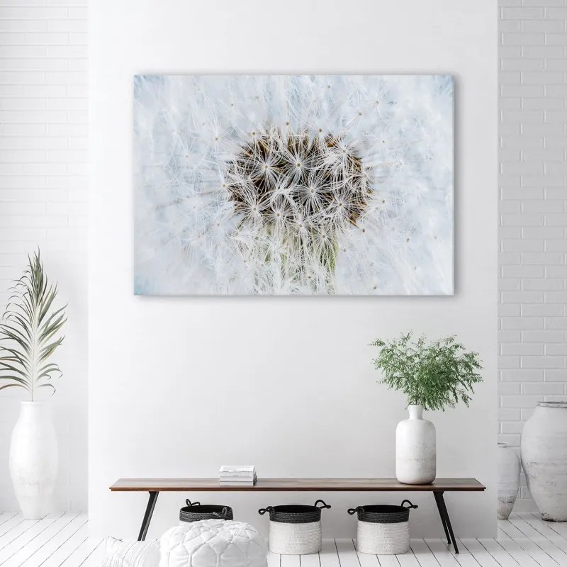 Quadro su tela, Dandelion di fiori bianchi  Dimensioni 100x70