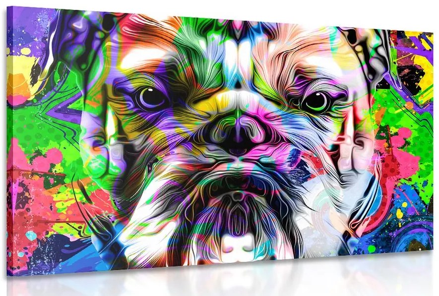 Quadro su tela – Bulldog pop-art