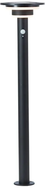 Brilliant - Lampada solare LED con sensore GARVINA LED/3W/3,7V 85 cm IP44 nero