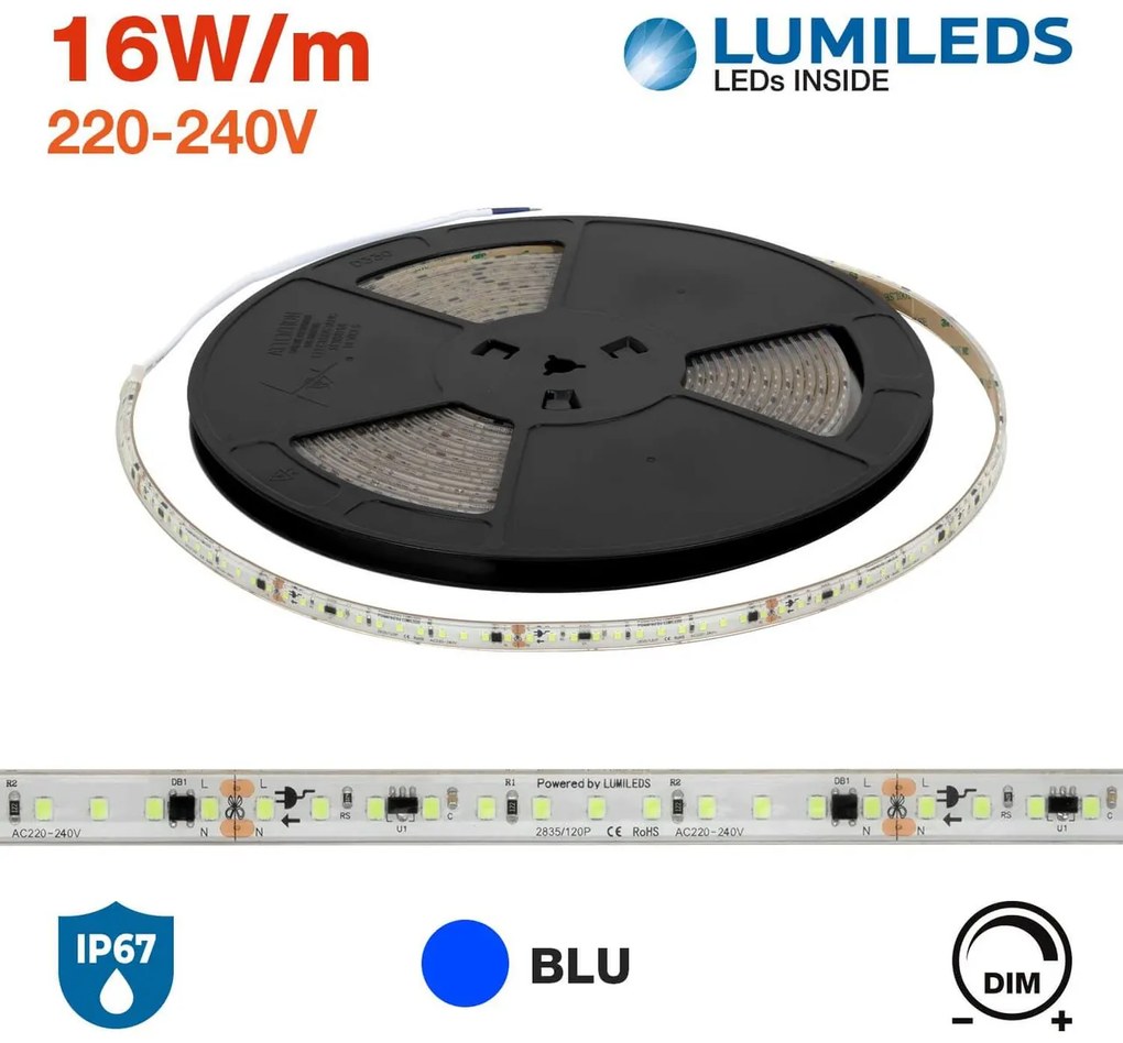 Striscia LED 220V 16W/m chip Lumileds Dimmerabile IP67 10m BLU Colore Blue