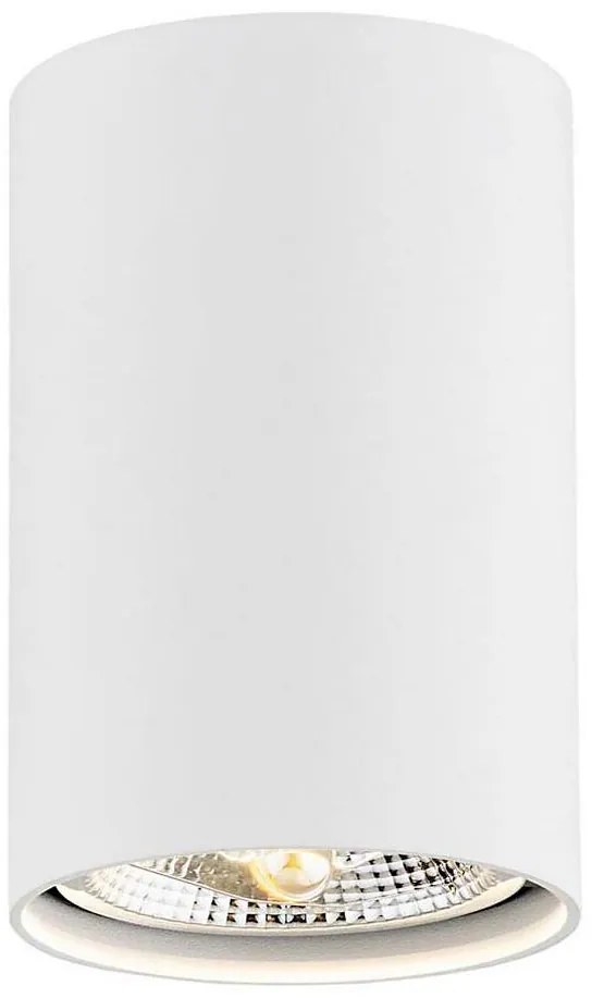 Argon 4910 - Luce Spot TUBO AR111 1xGU10/15W/230V bianco