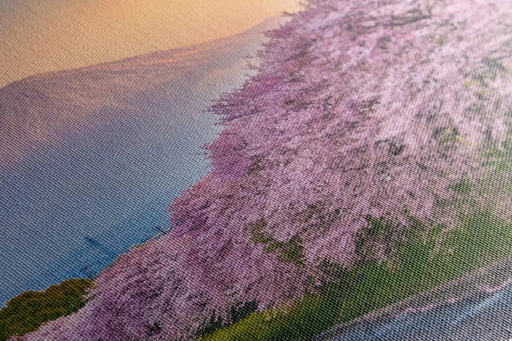 Quadro su tela – Meraviglioso Giappone