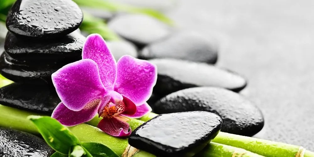 Quadro su tela – Natura morta per il benessere con orchidea viola