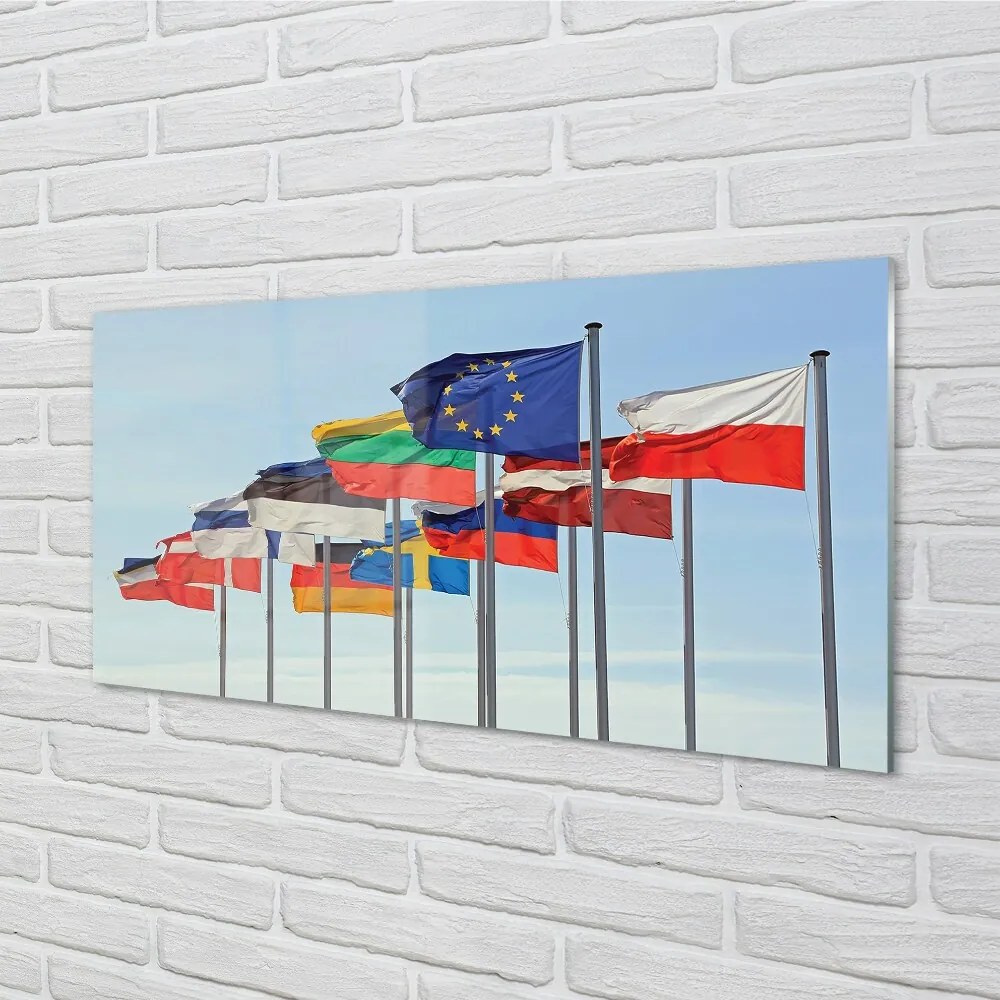 Quadro vetro Tante bandiere 100x50 cm 2 appendini
