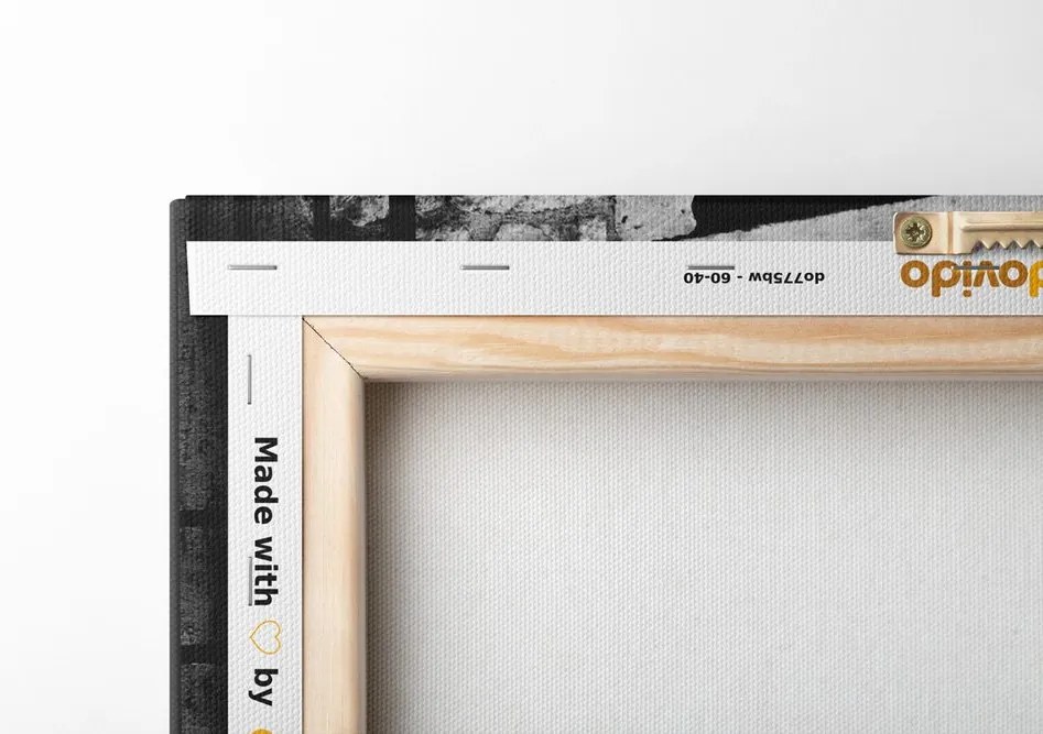Quadro su tela – Bicicletta retrò in bianco e nero