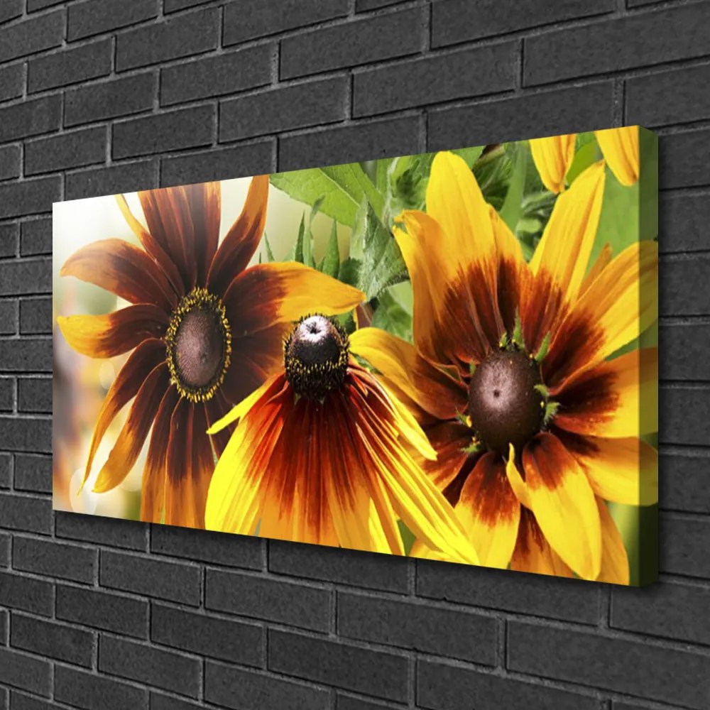 Quadro su tela I fiori della pianta 100x50 cm