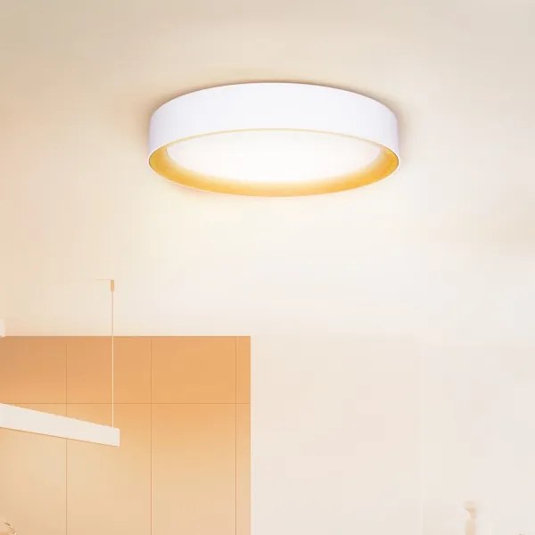 Brilagi -Luce LED dimmerabile LARIOS LED/48W/230V 3000-6500K ø 39 cm white+RC