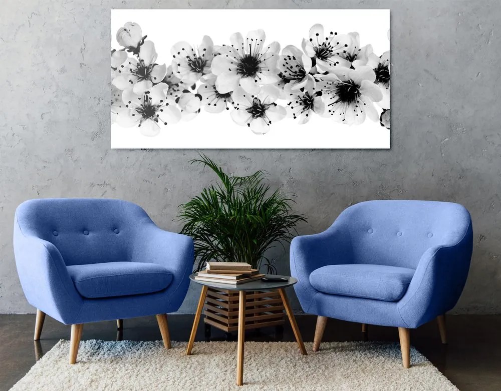 Quadro su tela – Fiori di ciliegio in bianco e nero