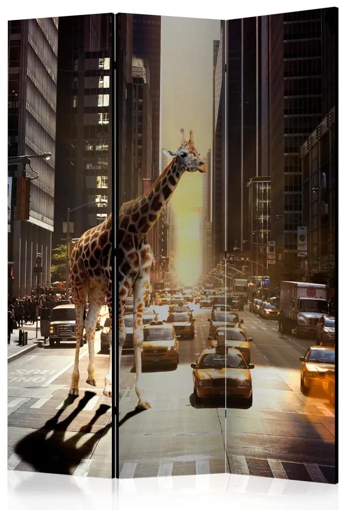 Paravento design Giraffa in città (3 parti) - animale in una strada trafficata