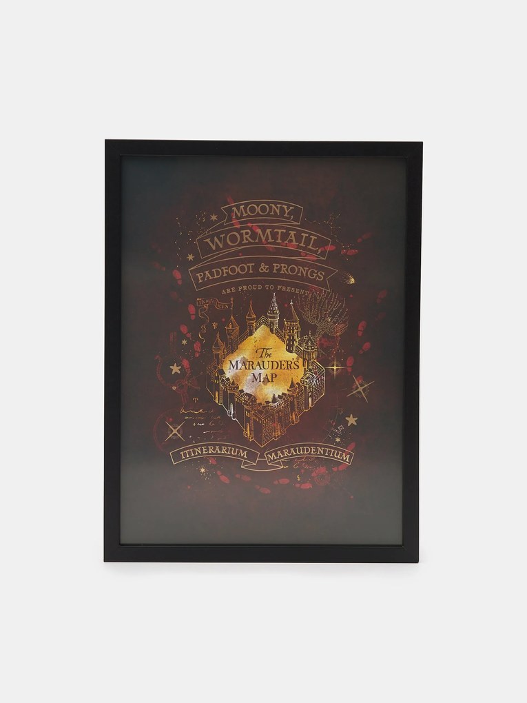 Sinsay - Poster Harry Potter - nero