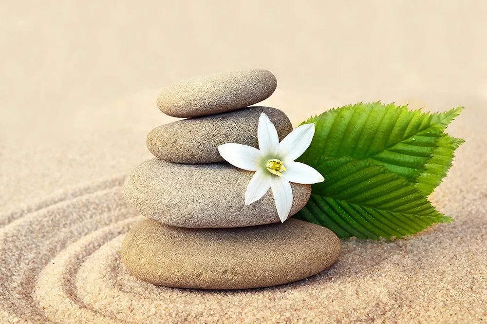 Carta da parati – Fiore bianco e pietre nella sabbia
