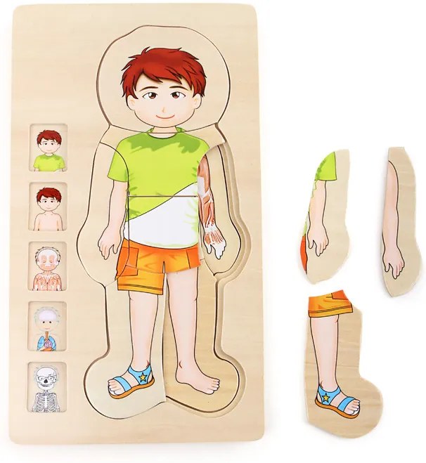 Puzzle di legno - Anatomia del ragazzo Tim