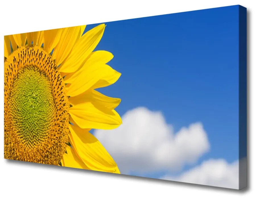 Foto quadro su tela Nuvole del cielo del girasole 100x50 cm