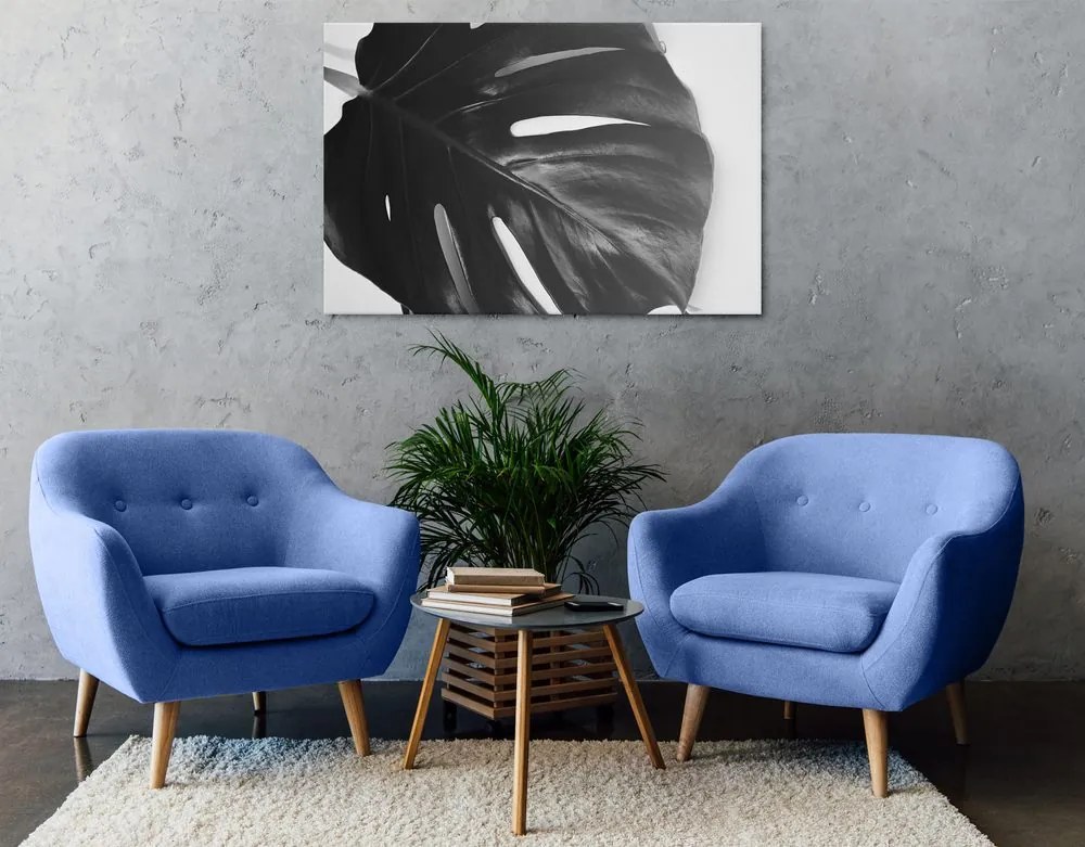 Quadro su tela – Foglia di monstera in bianco e nero