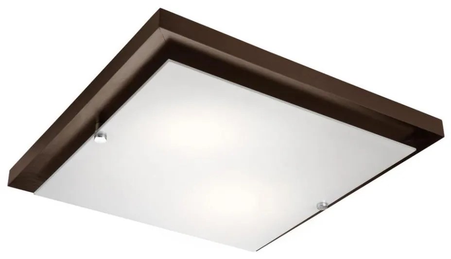 Lampada da soffitto 2xE27/60W/230V
