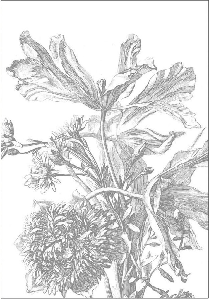 Carta da parati Engraved Flowers
