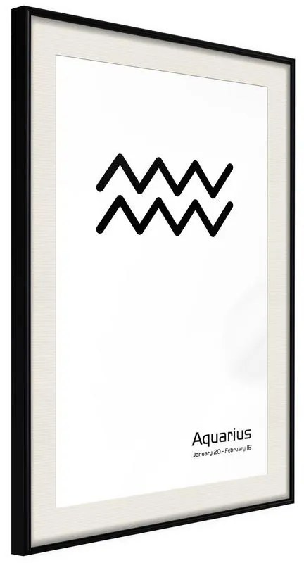 Poster Zodiac: Aquarius II