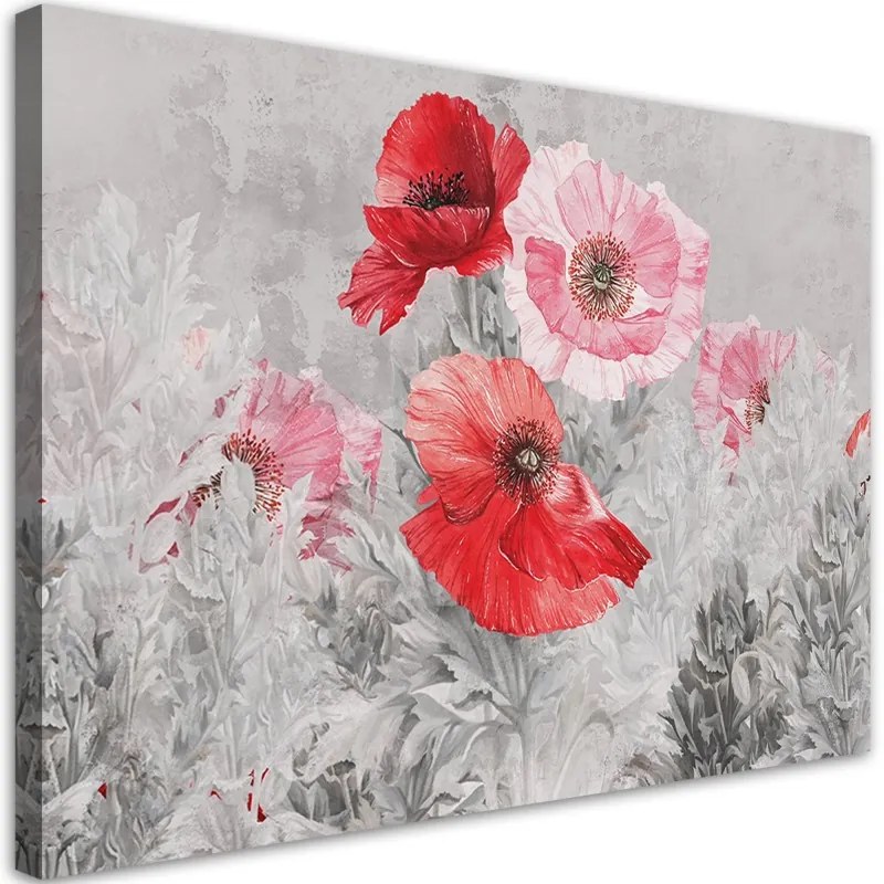 Quadro su tela, Poppies rossi su un prato grigio  Dimensioni 100x70