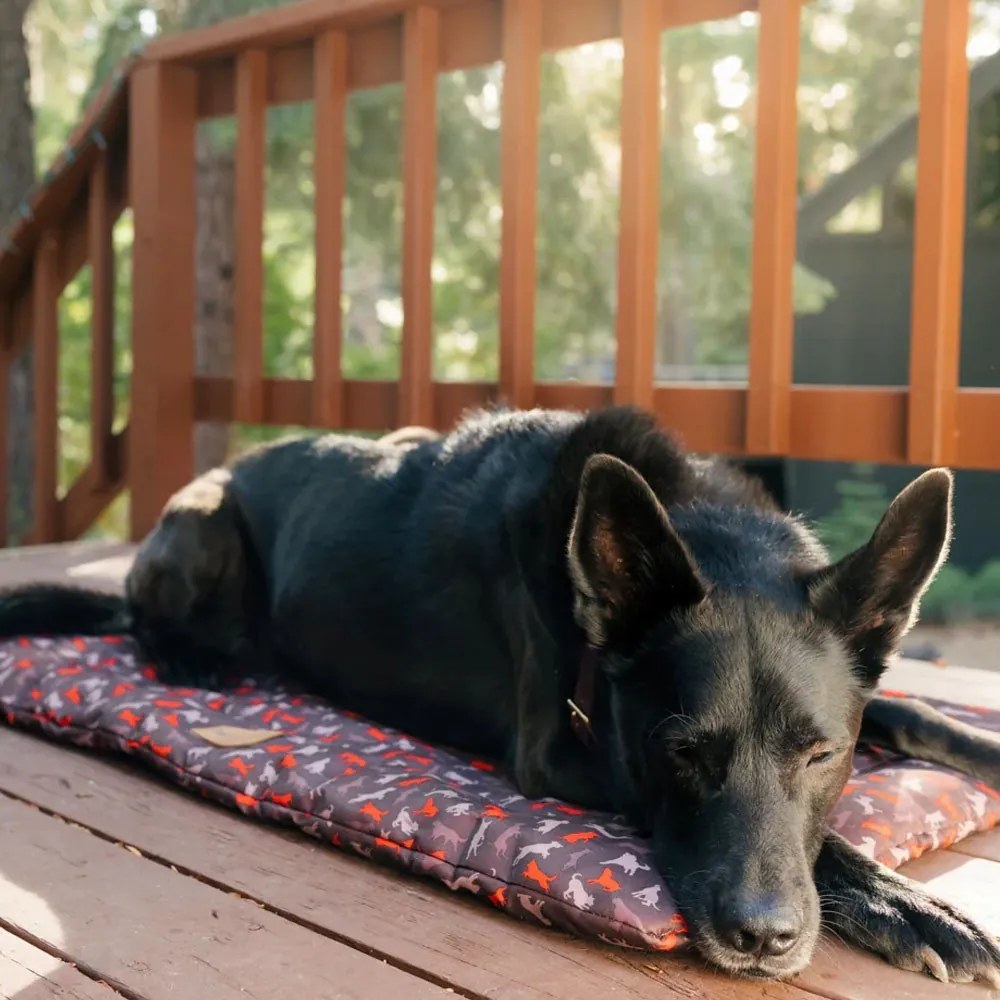 Cuccia da viaggio marrone per cane 50x75 cm Outdoor Chill Pad Mocha M – P.L.A.Y.