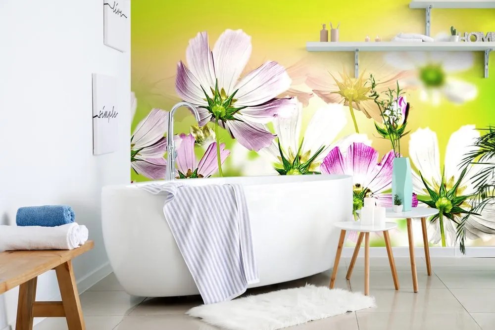 Carta da parati – Fiori da giardino
