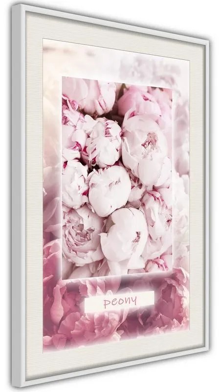 Poster  Scent of Peonies  Cornice Quadri Cornice nera con pass-partout, Larghezza x Altezza Home decor 30x45