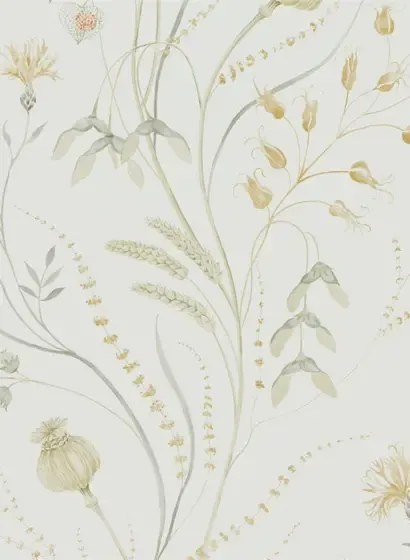 Sanderson Carta da parati Summer Harvest - Silver/ Corn