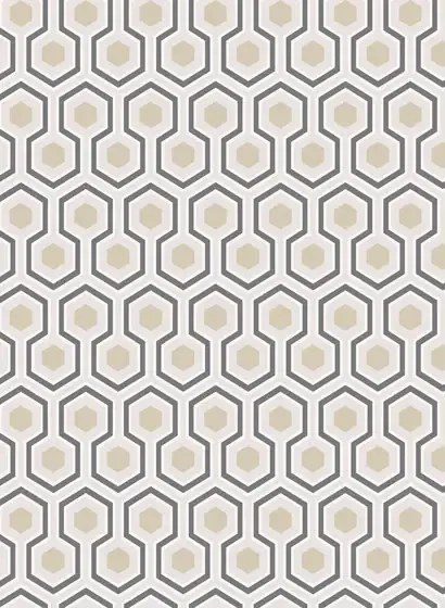 Cole & Son Carta da parati Hicks' Hexagon - Gilver/ White