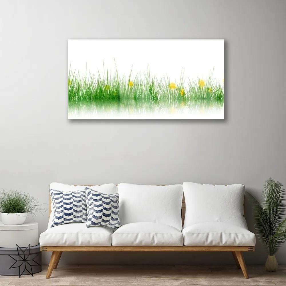Quadro acrilico Fiori di erba della natura 100x50 cm