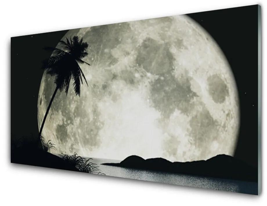 Quadro vetro acrilico Paesaggio delle palme della luna notturna 100x50 cm