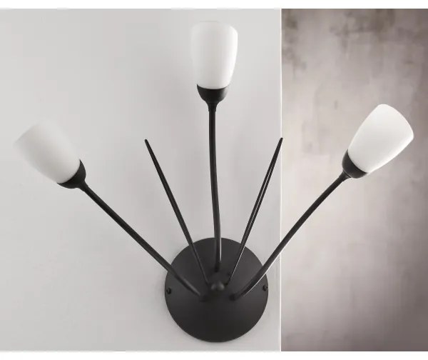 Jupiter 2059 - Lampada da parete GLORIOSA 3xG9/14W/230V nera