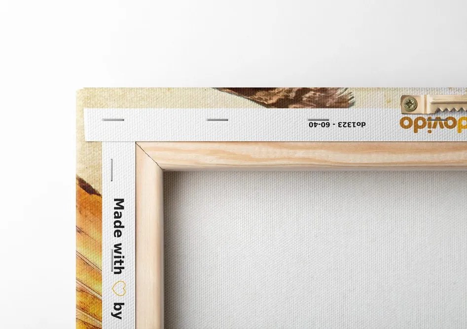 Quadro su tela – Acchiappasogni indiano