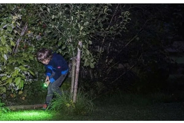 Ledlenser KIDBEAM4 DINO - Torcia dimmerabile a LED per bambini, 2x AAA, IP44, verde