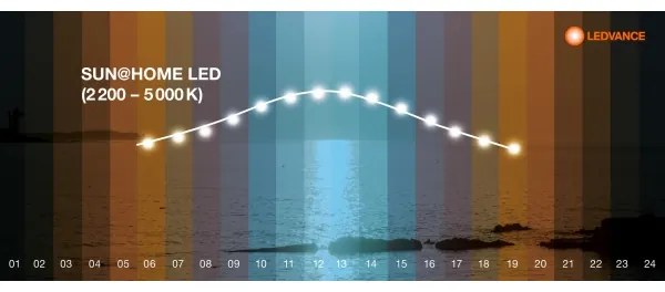 Ledvance - LED Lampada dimmerabile SUN@HOME LED/20W/230V 2200-5000K CRI 95 Wi-Fi