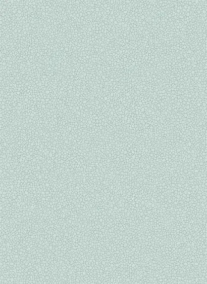 Cole & Son Carta da parati Pebble - Print Room Blue