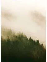 Coordonne Wandbild Woods for Forest - 6500204