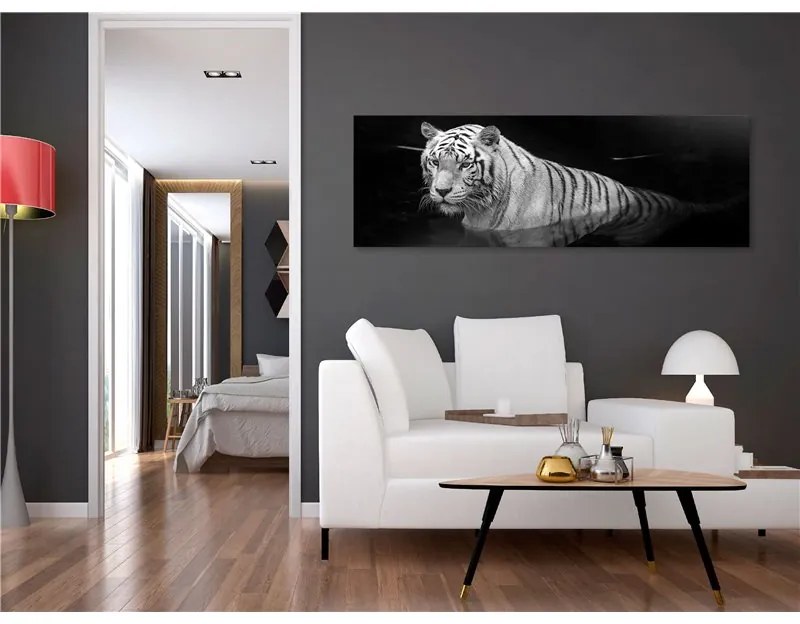 Quadro Shining Tiger (1 Part) Black and White Narrow  Colore bianco e nero, Dimensioni e Misure 120x40