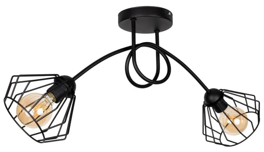 Lampadario a plafone CEED 2xE27/60W/230V